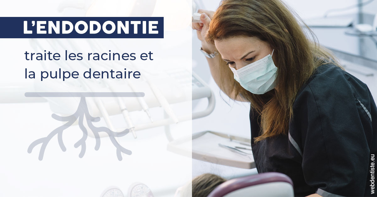 https://dr-roy-remy.chirurgiens-dentistes.fr/L'endodontie 1