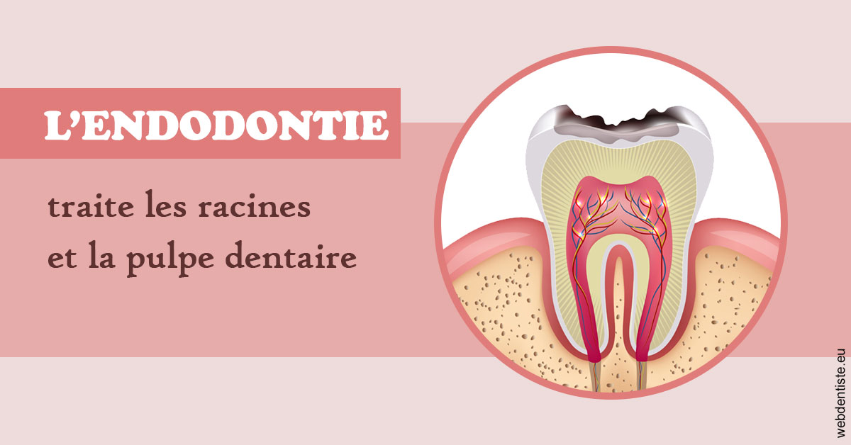 https://dr-roy-remy.chirurgiens-dentistes.fr/L'endodontie 2