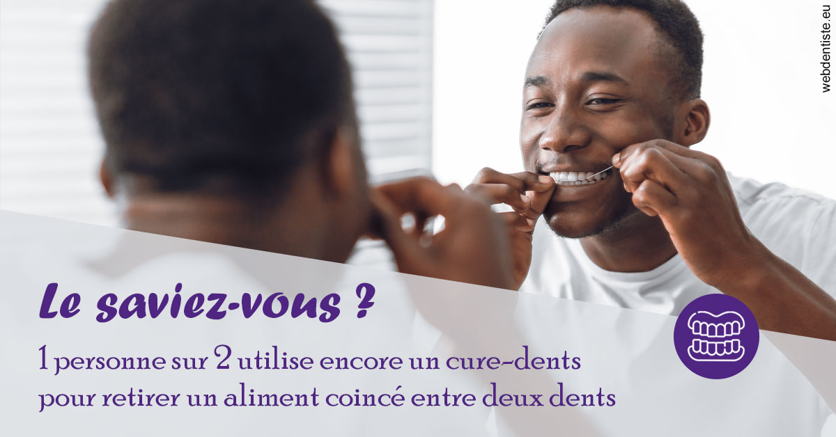 https://dr-roy-remy.chirurgiens-dentistes.fr/Cure-dents 2