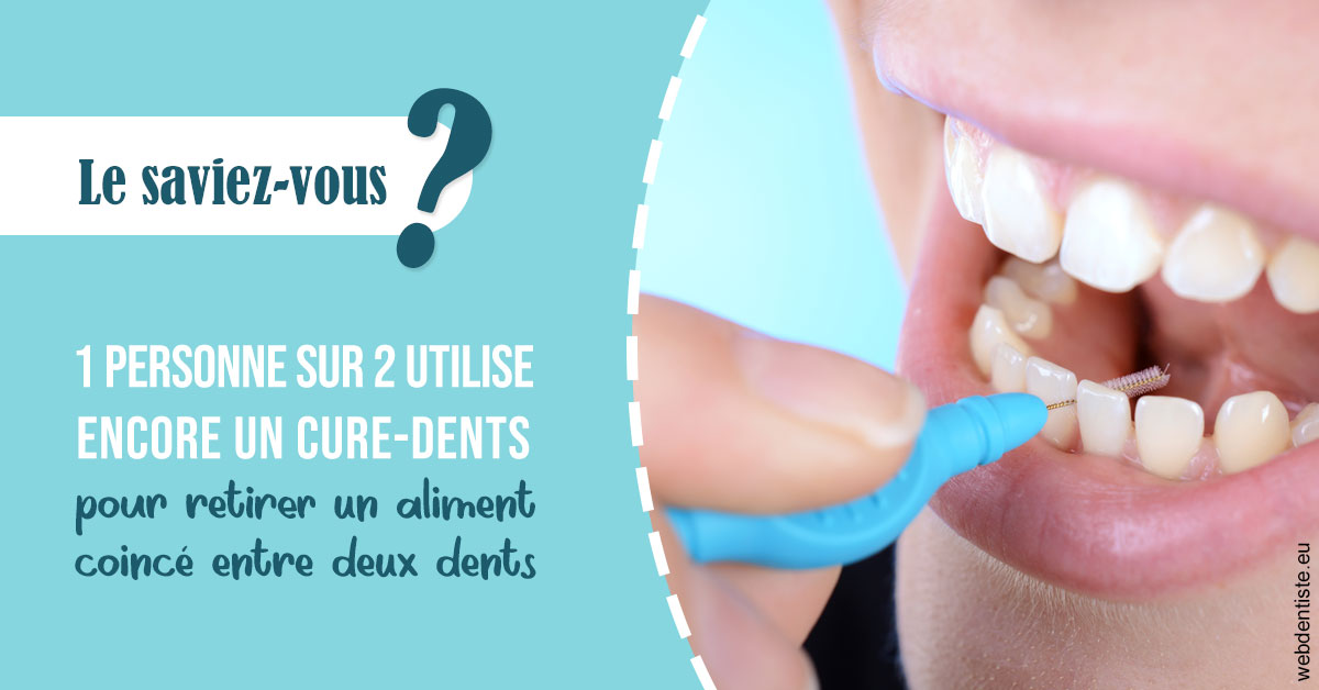 https://dr-roy-remy.chirurgiens-dentistes.fr/Cure-dents 1